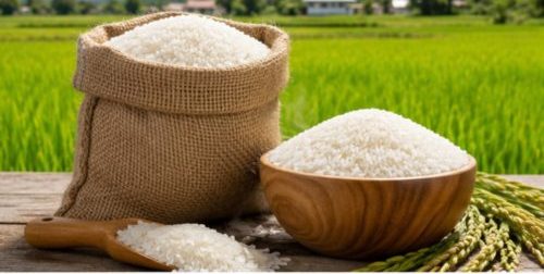 قیمت برنج هاشمی گیلان
