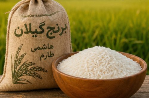 خرید برنج گیلان اصل