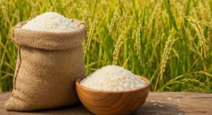 قیمت برنج گیلان