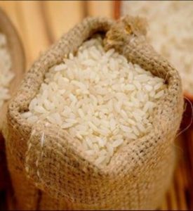 خرید برنج هاشمی گیلان با قیمت روز