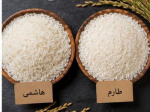 برنج هاشمی یا طارم