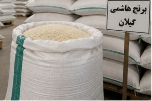 خرید عمده برنج هاشمی